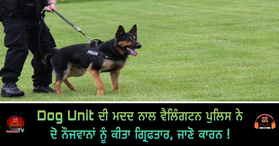 two youths tracked by dogs