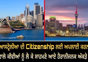 number of kiwis applying for