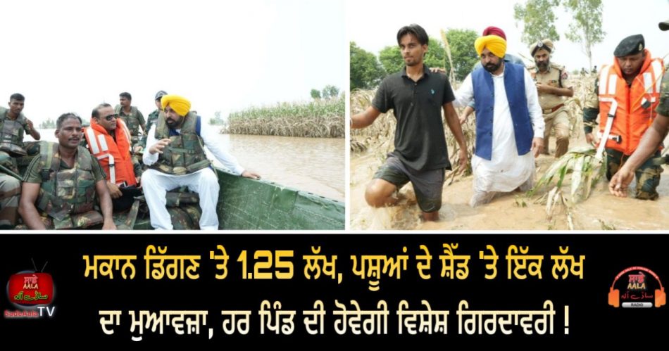 cm-bhagwant-mann-announces-compensation