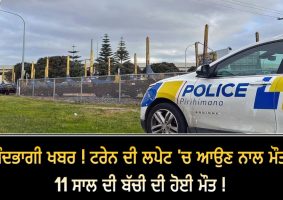 11-year-old girl killed by train