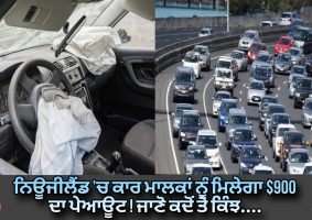 car owners in new zealand