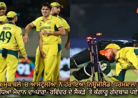 australia beat new zealand by 5 runs