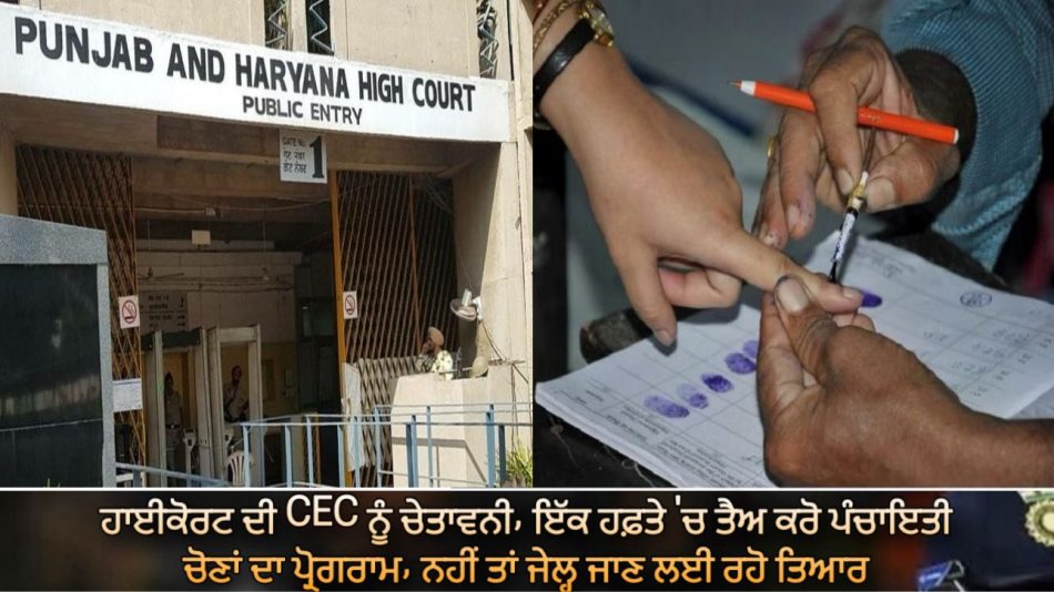 High Court's warning to CEC