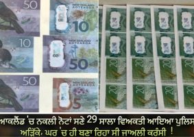 counterfeit currency operation busted in auckland