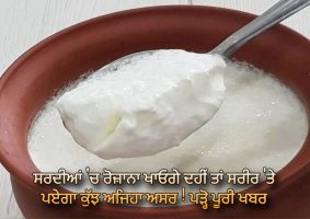 can we eat curd in winter