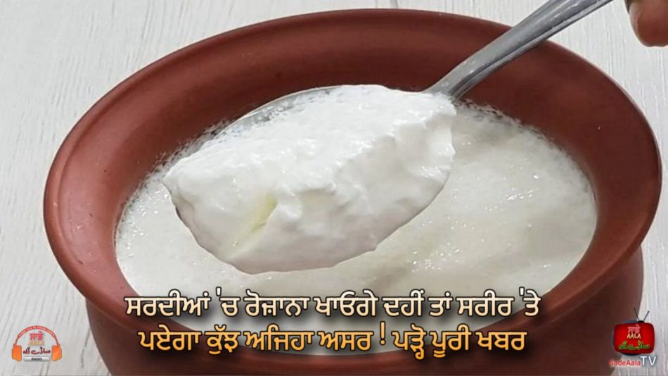 can we eat curd in winter