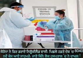 8040 new cases of covid-19 reported