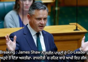 james shaw resigns as green party co-leader