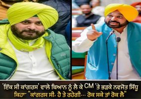 navjot sidhu comments on bhagwant mann statement