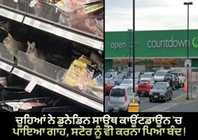 dunedin supermarket to close