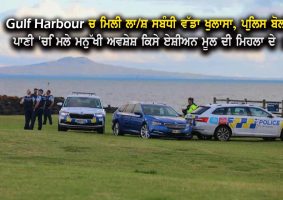 gulf harbour body homicide investigation launched