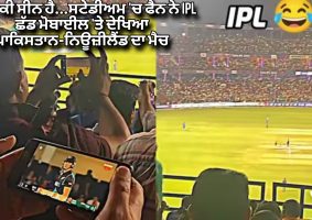 fan watching nz vs pak match in ipl