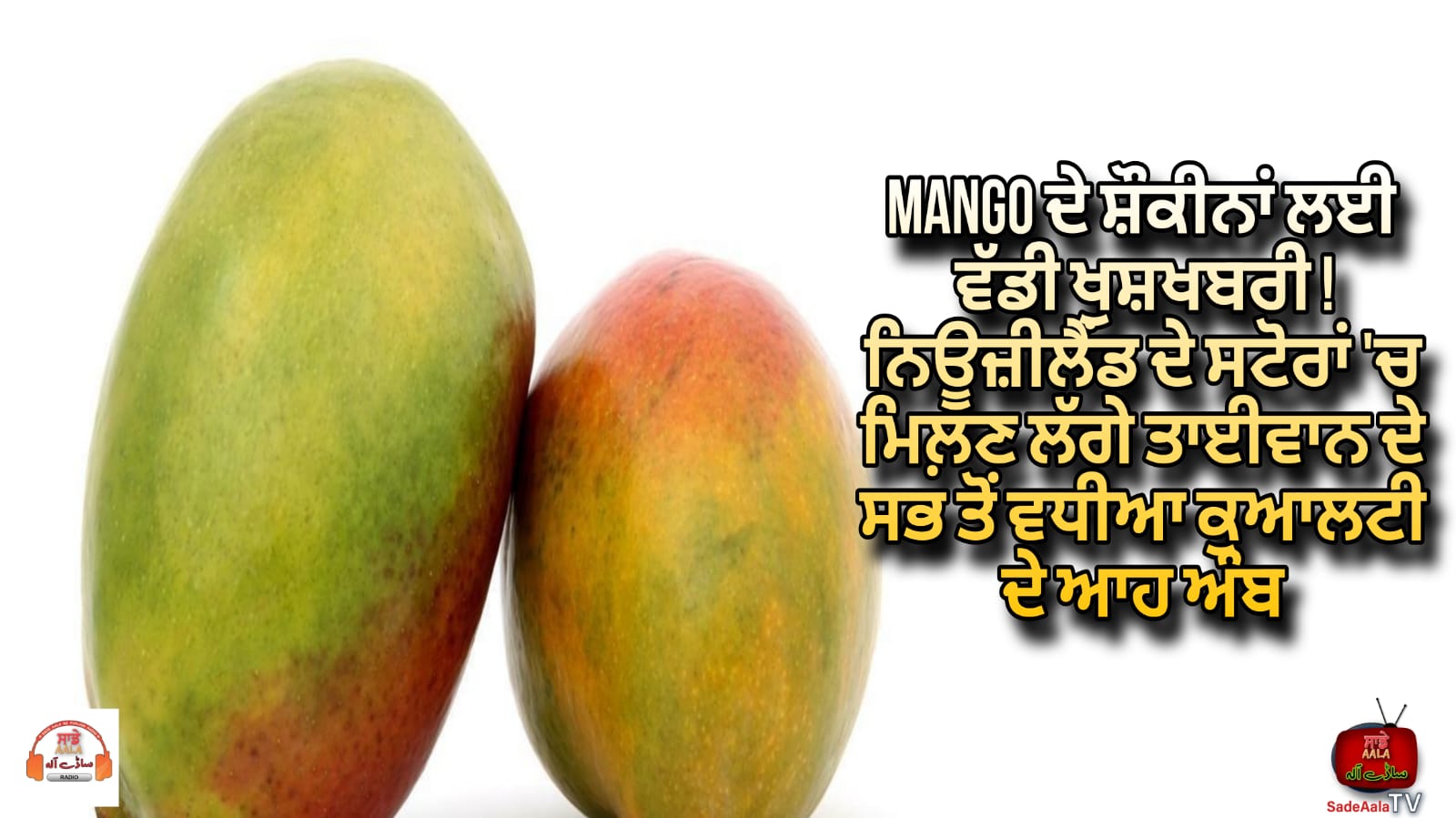 Taiwan mangoes in New Zealand