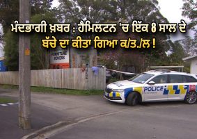 8-year-old dies in Hamilton incident