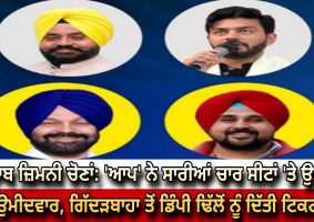 aap declared-candidates