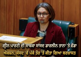 Ex-Green MP Darleen Tana removed