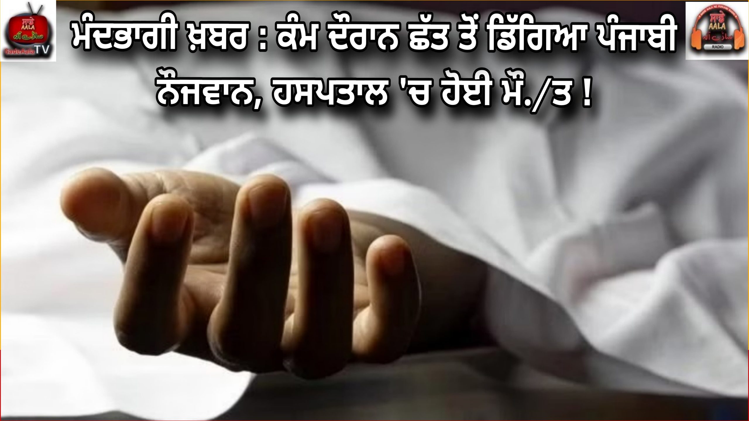 Punjabi youth fell from the roof