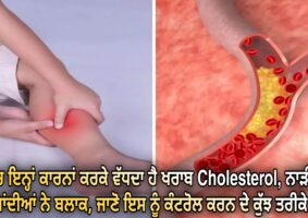 due-to-these-reasons-bad-cholesterol-increases