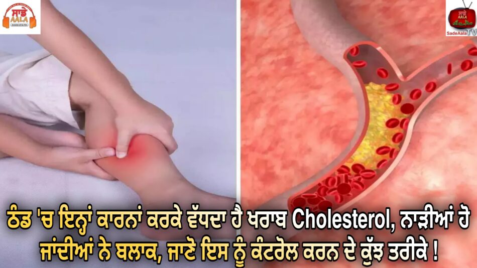 due-to-these-reasons-bad-cholesterol-increases