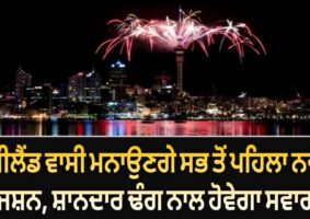 happy new year 2026 in nz