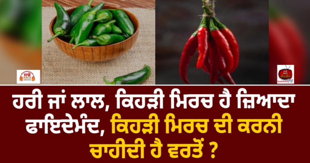 ਹਰੀ ਜਾਂ ਲਾਲ, ਕਿਹੜੀ ਮਿਰਚ ਹੈ ਜ਼ਿਆਦਾ ਫਾਇਦੇਮੰਦ, ਕਿਹੜੀ ਮਿਰਚ ਦੀ ਕਰਨੀ ਚਾਹੀਦੀ ਹੈ ਵਰਤੋਂ ?